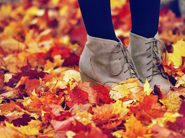Article-size_october_4
